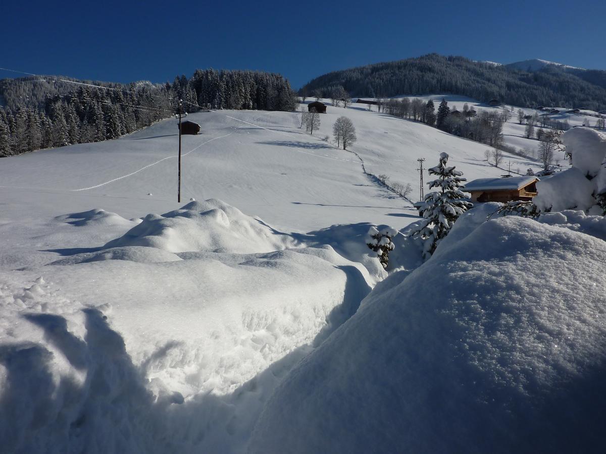 Appartements Stoffenhof Alpbach Ngoại thất bức ảnh